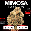 Mimosa Evolution (Top Shelf)