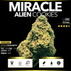 Miracle Alien Cookies : MAC (Popcorn)