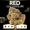 Red Mandarine F1 (Popcorn)