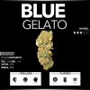 Blue Gelato