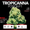 Tropicanna Poison F1 (Top Shelf)