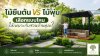 ไม้ยืนต้น VS ไม้พุ่ม เลือกแบบไหนให้เหมาะกับสวนบ้านคุณ? ไม้ยืนต้น VS ไม้พุ่ม เลือกแบบไหนให้เหมาะกับสวนบ้านคุณ?