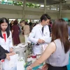 โพรไบโอติก