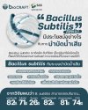 Bacillus subtilis คืออะไร มีประโยชน์อย่างไรกับการบำบัดน้ำเสีย Bacillus subtilis คืออะไร มีประโยชน์อย่างไรกับการบำบัดน้ำเสีย