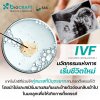 IVF: The Innovation of New Beginnings