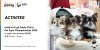 Atmosphere at the Pawly Booth – Pet Expo Championship 2025