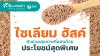 ไซเลียม ฮัสค์ ตัวช่วยสุขภาพที่แฝงด้วยประโยชน์สุดพิเศษ ไซเลียม ฮัสค์ ตัวช่วยสุขภาพที่แฝงด้วยประโยชน์สุดพิเศษ