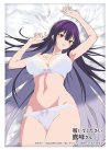 Bushiroad Sleeve Vol.4837 Anime "Please Put Them On, Takamine-san" (ซองคลุมการ์ดขนาด WS BF MTG SVE 75ซอง)