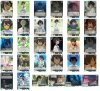 Weiss Schwarz Character Set [Lemon Yakishio] : Too Many Losing Heroines รักครั้งนี้มีคนนกเยอะไปมั้ย! แบบละ 4 รวม 110 ใบ [Make Heroine ga Oosugiru!]