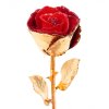 Gold-Plated Valentine Rose Stem