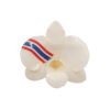 Clear-coated Dendrobium Orchid with Thai flag design Brooch