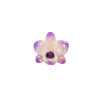 Clear-coated Dendrobium Nobile Orchid Brooch