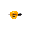 Clear-Coated Pansy Flower on Hair Clip