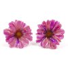Clear-Coated Mini Chrysanthemum Earrings