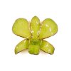 Clear-Coated & Gold Edges Dendrobium Orchid Brooches