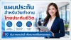 แผนประกันวัยทำงาน แผนประกันวัยทำงาน