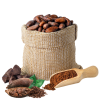 Cocoa Beans (Theobroma cacao)