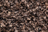 Palm Kernel Shell (Elaeis guineensis)