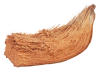 Coco Fiber (Cocos nucifera)
