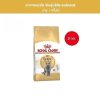 Royal Canin 2kg อาหารเม็ดแมวโตพันธุ์บริติช ชอร์ทแฮร์ อายุ12เดือนขึ้นไป