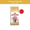 Royal Canin Kitten Persian 400g อาหารเม็ดลูกแมว พันธุ์เปอร์เซียน อายุ 4-12 เดือน