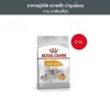 Royal Canin 3kg อาหารเม็ดสุนัขโต พันธุ์เล็กดูแลสุขภาพเส้นขน อายุ10เดือนขึ้นไป