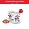 Royal Canin อาหารเปียกแมวโต ทำหมัน อายุ12เดือนขึ้นไป [12 ซอง]