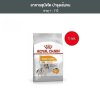 Royal Canin 1kg อาหารเม็ดสุนัขโต พันธุ์เล็ก ดูแลสุขภาพเส้นขน อายุ10เดือนขึ้นไป