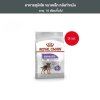 Royal Canin 3kg อาหารเม็ดสุนัขโต พันธุ์เล็ก ทำหมัน อายุ 10 เดือนขึ้นไป