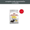 Royal Canin 1kg อาหารเม็ดสุนัขโต พันธุ์เล็ก ผิวแพ้ง่าย อายุ 10 เดือนขึ้นไป