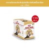 Royal Canin Persian Pouch Loaf อาหารเปียกแมวโต พันธุ์เปอร์เซียน อายุ12เดือนขึ้นไป