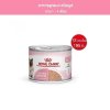 [ยกถาด12กระป๋อง] Royal Canin อาหารเปียกแม่แมวตั้งท้อง-ให้นมและลูกแมวอายุต่ำกว่า4เดือน