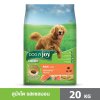 DOG n joy Complete ขนาด 20 กก.สูตรแซลมอน อาหารเม็ดสำหรับสุนัขทุกสายพันธุ์