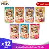 Cattie Paws Rich แคทตี้ พาวส์ ริช อาหารแมว อาหารเปียกแมว 70 กรัม บรรจุ 12 ซอง