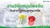 งานวิจัยสมุนไพรจีน งานวิจัยสมุนไพรจีน