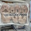 ปลาช่อนตัด