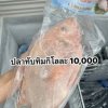 ปลาทับทิม