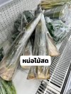 หน่อไม้สด