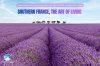 South of France : The Art of Living "เมื่อความฝันและการพักผ่อนมาบรรจบกัน" South of France : The Art of Living "เมื่อความฝันและการพักผ่อนมาบรรจบกัน"