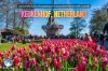ชวนเที่ยว Keukenhof สวนดอกไม้ที่สวยที่สุดในโลก แห่งเนเธอร์แลนด์ ชวนเที่ยว Keukenhof สวนดอกไม้ที่สวยที่สุดในโลก แห่งเนเธอร์แลนด์