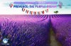 Provence: The Purple Dream – เจาะลึก 10 พิกัดทุ่งลาเวนเดอร์ ที่งดงามที่สุดในฝรั่งเศส Provence: The Purple Dream – เจาะลึก 10 พิกัดทุ่งลาเวนเดอร์ ที่งดงามที่สุดในฝรั่งเศส