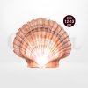 เปลือกหอยเชลล์ (Hotate Shell about 12-13 cm.) แบรนด์ (Daisho Foods)