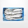 ปลาซันมะ Pacific Saury (Sanma)