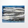 ปลาซันมะ Pacific Saury (Sanma)