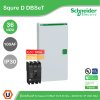 Schneider Electric ตู้โหลดเซ็นเตอร์ รุ่น Square D DBSeT ขนาด 36ช่อง + MCCB รุ่น EZC 3P 100A 30kA