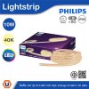 PHILIPS ไฟเส้นLED รุ่น HLS188 COB High Voltage ความยาว 50 เมตร 10W แสงคูลไวท์ 4000K | 929004720207