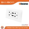 BTicino เต้ารับ USB Type A+C+เต้ารับคู่ 3ขา สีขาวDuplex Socket 2P+E+USB Charger Type A+C,2Ports | Bamboo | AE4185AC