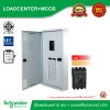 Schneider Electric ตู้โหลดเซ็นเตอร์ 30 ช่อง + เมนเซอร์กิตเบรกเกอร์(MCCB) 100A รหัส QO3-100EZ30G/SN+EZC100H3100