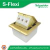 Schneider ชุดเต้ารับฝังพื้นสีทองเหลือง+เต้ารับคอมพิวเตอร์ CAT5E 3ตัว รุ่น S-Flexi