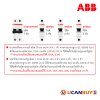 ABB ชุดตู้คอนซูมเมอร์ยูนิต1เฟส240 โวลท์ 12 ช่อง เมนเบรกเกอร์ 50A พร้อมลูกย่อย 16A/20A/32A